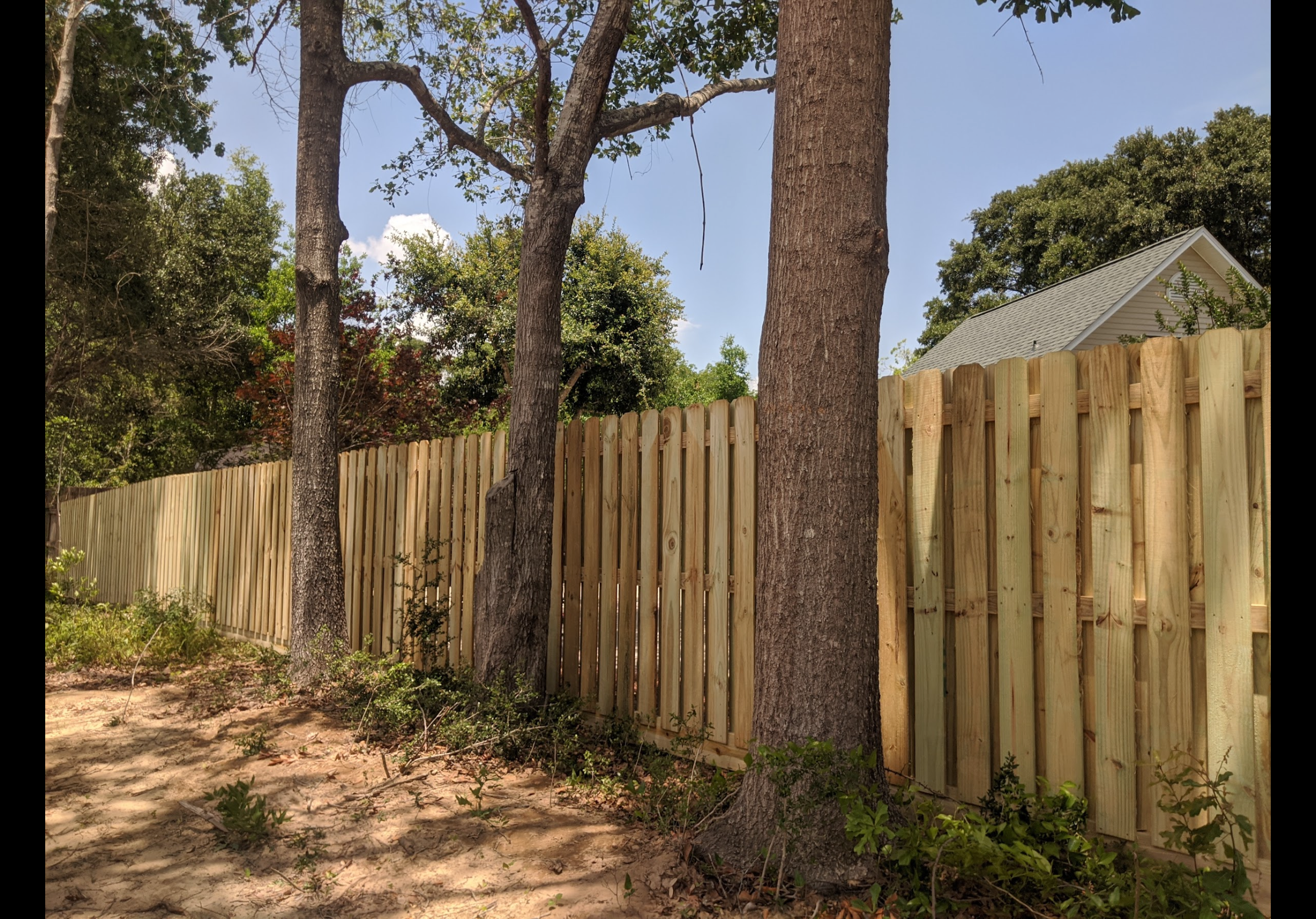 Pressure-treated wood shadow box fence through trees — Hanlon Brothers Fences, Pensacola FL